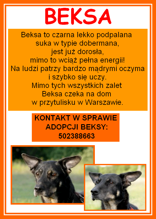 Plakat dla Beksy (prosze o rozwieszanie)!