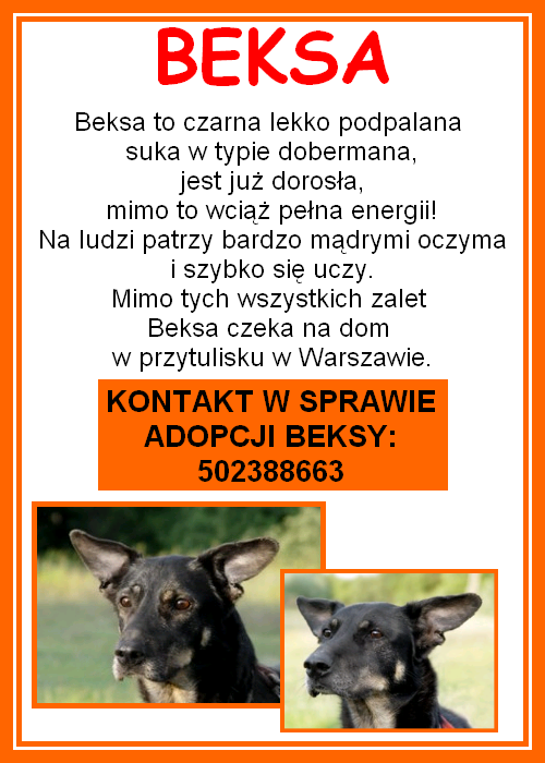 Plakat dla Beksy (prosze o rozwieszanie)!