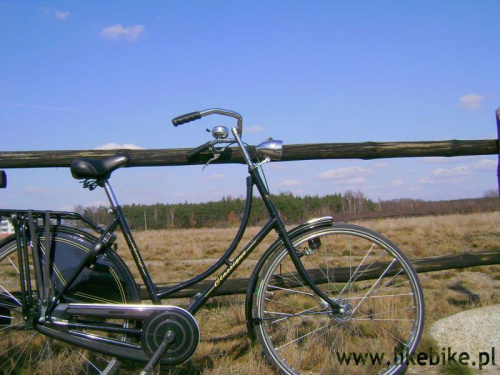 Rower Hoilenderski www.likebike.pl