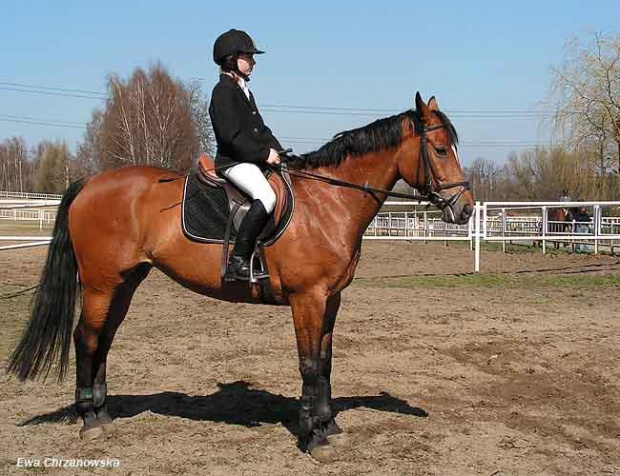 Halowe Zawody w Stodołach 30.03.2008