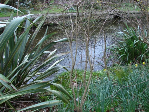 Mount Usher Gardens