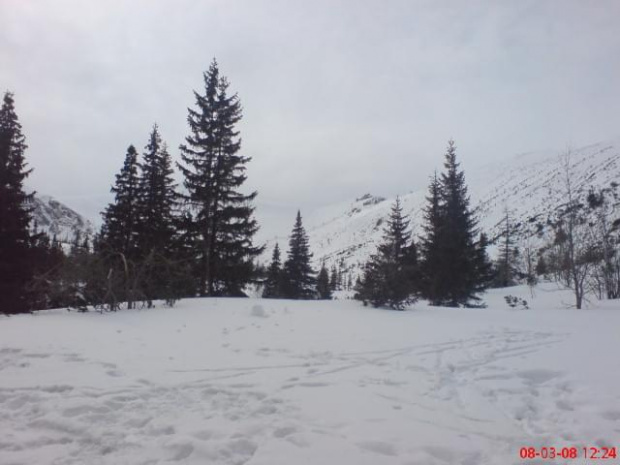 Tatry (8III2008)