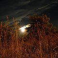 #księżyc #łąka #noc