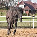 08.04.2008 Łomnica siwek Jasia i Ani