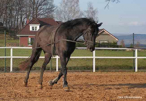 08.04.2008 Łomnica siwek Jasia i Ani