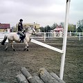galop po przeszkodzie
