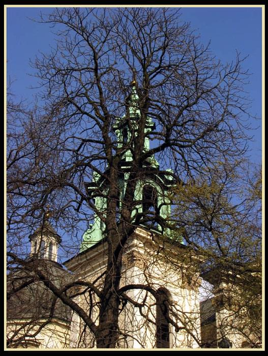Kraków. Widok na kościół św. Anny, przez konary wiosennego drzewa. #KościółŚwAnny #drzewo #Kraków