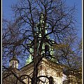 Kraków. Widok na kościół św. Anny, przez konary wiosennego drzewa. #KościółŚwAnny #drzewo #Kraków