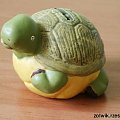 żółwik #żółw #żólwik #kolekcja