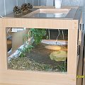 Terrarium