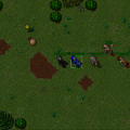 #tibia