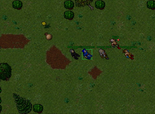 #tibia