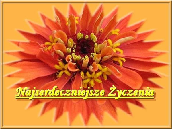 NAJSERDECZNIEJSZE ŻYCZENIA