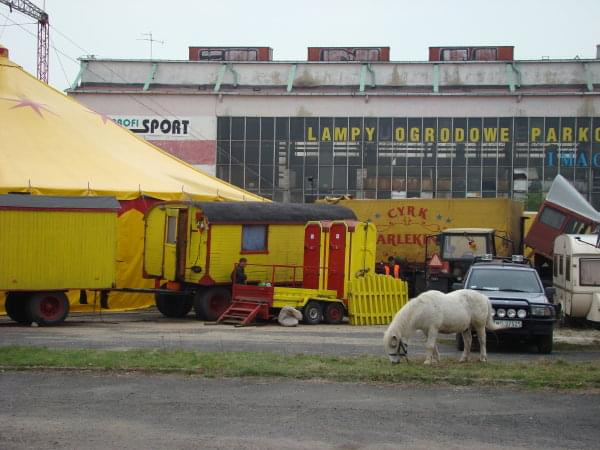 Cyrk Arlekin Opole 2008