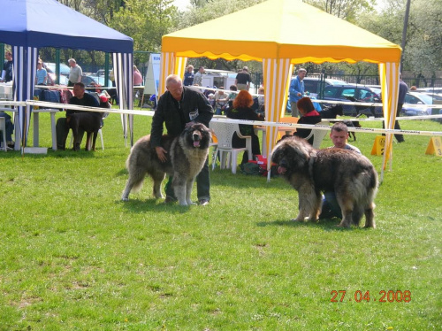 Opole 2008