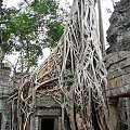 Ta Prohm