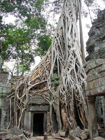 Ta Prohm