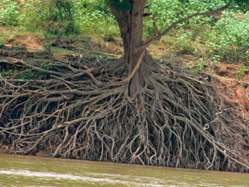 przejażdżka łódką po Mekongu na północ od Luang Prabang