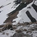 majowe tatry