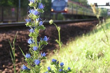 Kobiór #Kobiór #EN57