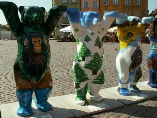 Stare Miasto i okolice w czasie wystawy niedźwiedzi.