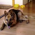 ONek Kiro maj20008r