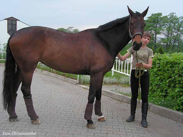 17.05.2008 Zawody w Stodołach