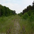 Tuż za przystankiem Gzin. Widok w stronę Unisławia.