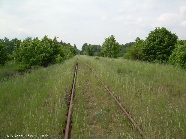 Dąbrowa Chełmińska. Widok w stronę Bydgoszczy.