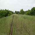 Dąbrowa Chełmińska. Widok w stronę Bydgoszczy.