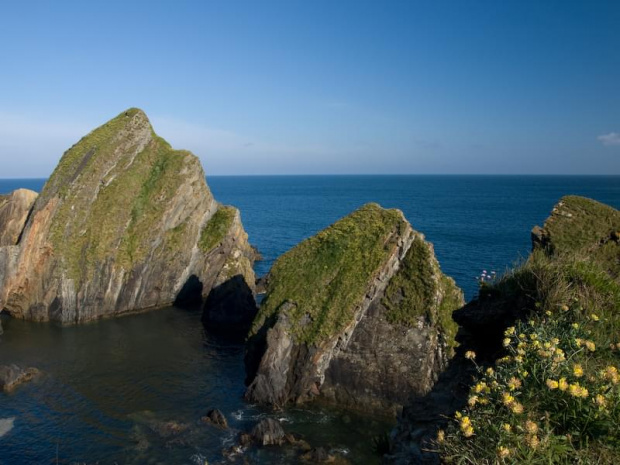 nohoval cove cork ireland