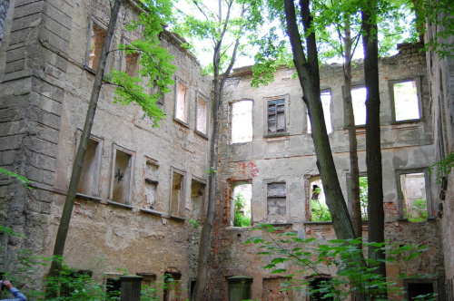 Skała-ruiny zamku