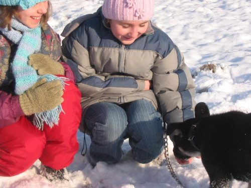 Mimi po znalezieniu :) cała klasa zajmuje się małą znajdą #pies #psy #zwierzęta #dzieci #zima