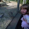 #dzieci #zoo #przyroda