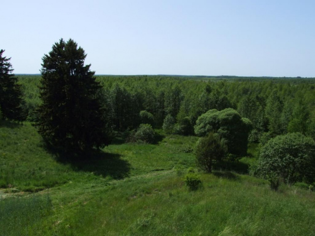 rzeka Biebrza i punkt widokowy na Biebrzański Park Narodowy. jak to opisał kol Siwy "zaj... morze zieleni"