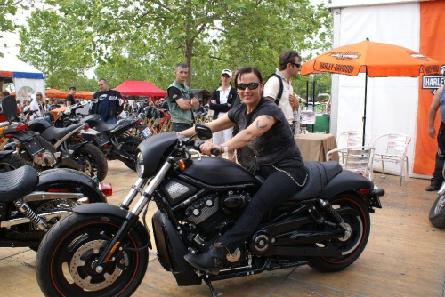 #Harley #HarleyDavidson #Balaton #Węgry #zlot #Motocykl #Alsoors