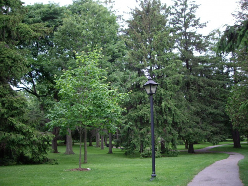 w parku #park #Toronto #Czerwiec2008