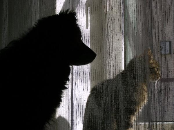 Oni patrzą w to okienko....