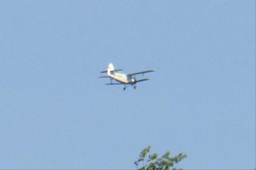Samolocik nad moim niebem :P #samolot #awionika #lot