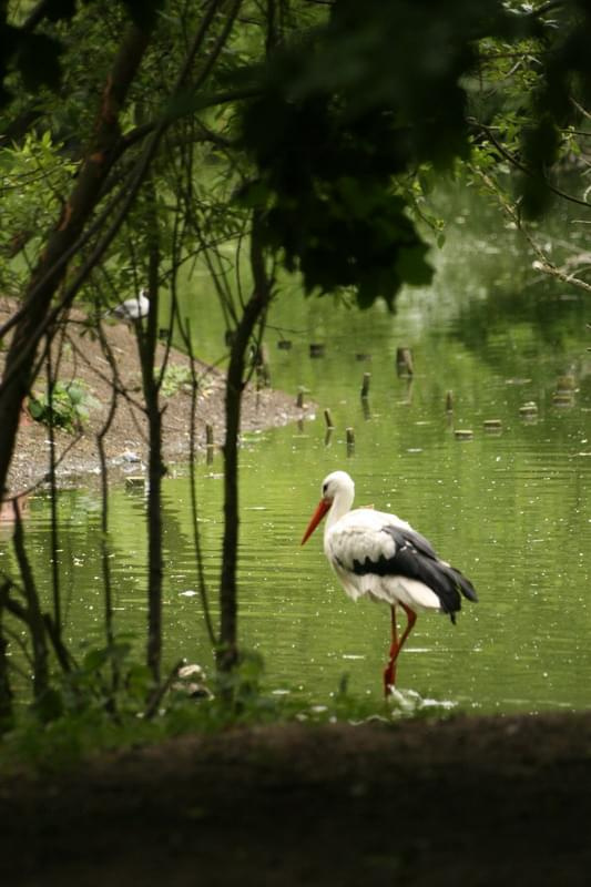 bydgoszcz zoo