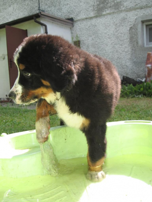 brrr dośc już tej wody,nei można być ciągle czystym!!