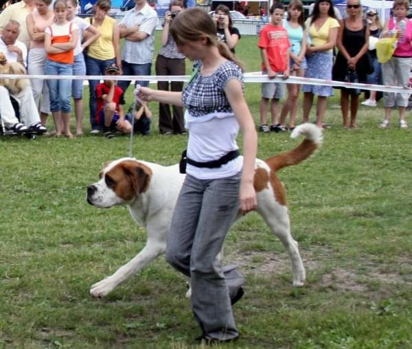 34 Krajowa Wystawa Psów w Ustroniu