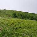 #bieszczady