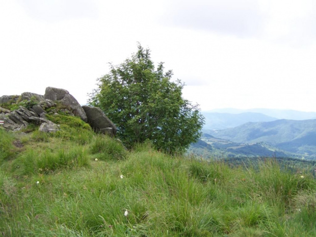 #bieszczady