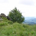 #bieszczady