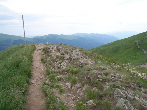 #bieszczady