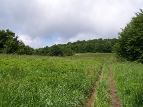 #bieszczady