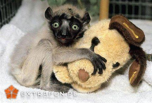 www.extrafun.pl #extrafun