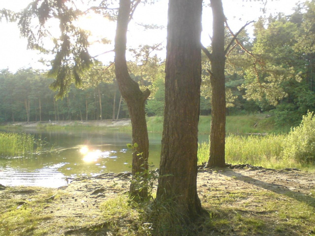 Mały akwen na Kuźniczkach dzielnicy miasta Kędzierzyn Koźle #JezioroKuźniczka