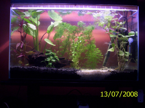 Roślinki posadzone...